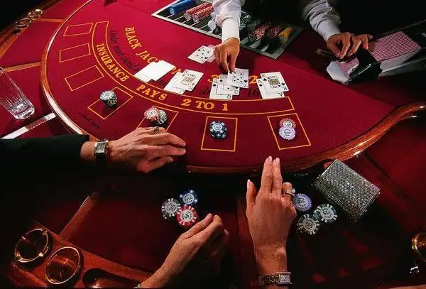 Live-dealer No Commission Baccarat table on jaya apk showing card layout and betting zones
